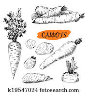 Carrots Carrots