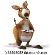 Fun kangaroo Fun kangaroo