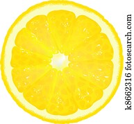 Lemon Segment With Juice Lemon Segment With Juice