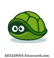 צב, להתחבא, ב, קלוף