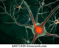 Cell body of a Neuron Cell body of a Neuron