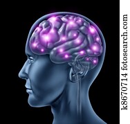 Human Brain Intelligence