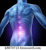 Lower Back Pain Lower Back Pain