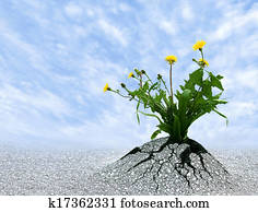 Persist and Succeed Persist and Succeed