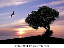 pôr do sol, árvore, tranqüilidade