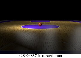 בית משפט של כדור הסל