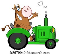 שמח, פרה חומה