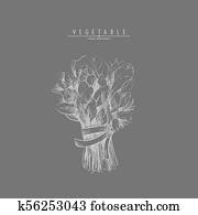 キャベツ ほうれんそう なす そして ニンニク クリップアート 切り張り イラスト 絵画 集 K16156743 Fotosearch