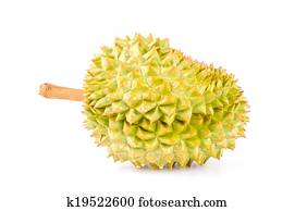 Durian fruit isolated white background