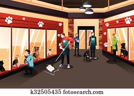 gente, trabajando, en, animal, refugio