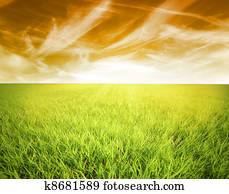 nature nature