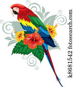 Parrot and tropical flowers Parrot and tropical flowers