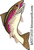 Trout Trout