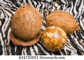 African coconut