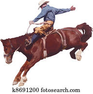 Cowboy at the rodeo. Cowboy at the rodeo.