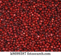 Lingonberries