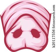 schwein, nase schwein, nase