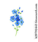 Forget Me Not Stock Illustration | Our Top 311 Forget Me Not Images