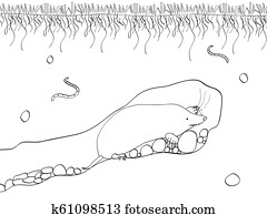 ベクトル 切口 セクション の 土地 で 青い空 草 地下 土壌 で 土 泥 石 そして Gophers 中に Hole 着色 黒 ライン 白 バックグラウンド クリップアート 切り張り イラスト 絵画 集 K Fotosearch ベクトル 切口 セクション の 土地 で 青い空 草 地下 土壌 で 土 泥 石 そして Gophers 中に Hole 着色 黒 ライン 白 バックグラウンド クリップアート 切り張り イラスト 絵画 集 K Fotosearch