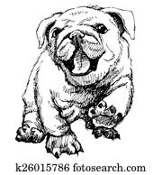 Bulldog Bulldog