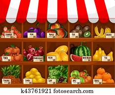 Fruit shop vector showcase stand with fruits Fruit shop vector showcase stand with fruits