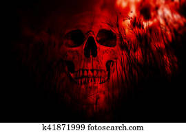 Human skull in the woods Human skull in the woods