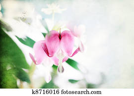 Textured Bleeding Heart