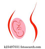 בהריון, בטן