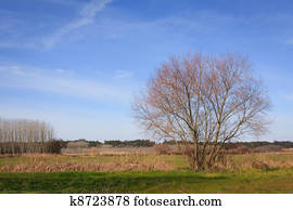 Blue sky over green plain field and forest on Portugal 