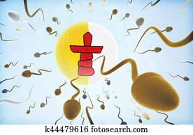Emigration concept: Sperms swimming away from Nunavut.(series)