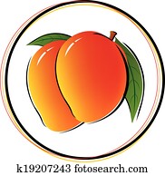 Mango on white background Mango on white background