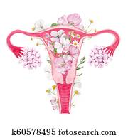 אישה, רחם, עם, פרחים, דוגמה