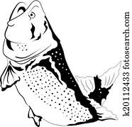 Big fish jumping Big fish jumping