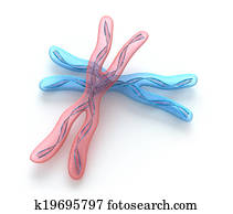 Chromosome x, DNA Strands on white