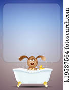 Dog in bathroom for grooming Dog in bathroom for grooming