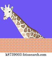 giraffe