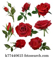 Realistic decorative roses bouquet. Floral red roses bouquets, flowers with leaves and burgeon, flowers blossom bunch isolated vector illustration set Realistic decorative roses bouquet. Floral red roses bouquets, flowers with leaves and burgeon, flowers blossom bunch isolated vector illustration set