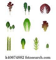 Set of salad bowl. Leafy vegetables green salad. Set of salad bowl. Leafy vegetables green salad.