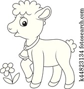 Small curly lamb Small curly lamb