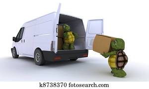 tortues, chargement, a, fourgon