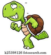 Turtle Turtle