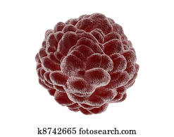 Cancer cell Cancer cell