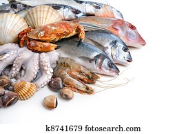 Fresh catch Fresh catch