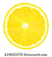 Lemon Segment With Juice Lemon Segment With Juice