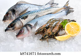 Seafood on ice