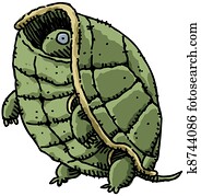 Shy Turtle Shy Turtle