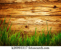 Spring background Spring background