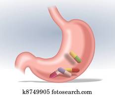 Stomach and pills Stomach and pills