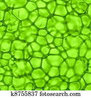 cell green background