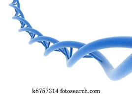 DNA DNA